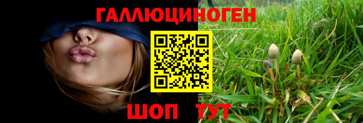 Псилоцибиновые грибы Psilocybine cubensis  Галлюциногенные грибы Psilocybe  Вход с VPN  Ишим 